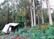 江南体育登录入口-塔斯马尼亚联主场气氛火爆，球迷助威成强大后盾(model中文翻译)