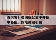 江南体育-真厉害！曼城崛起离不开德甲基因，四笔关键引援的简单介绍