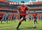 江南体育网页版-关于体坛传奇足球明星再度出击，回顾辉煌岁月的信息