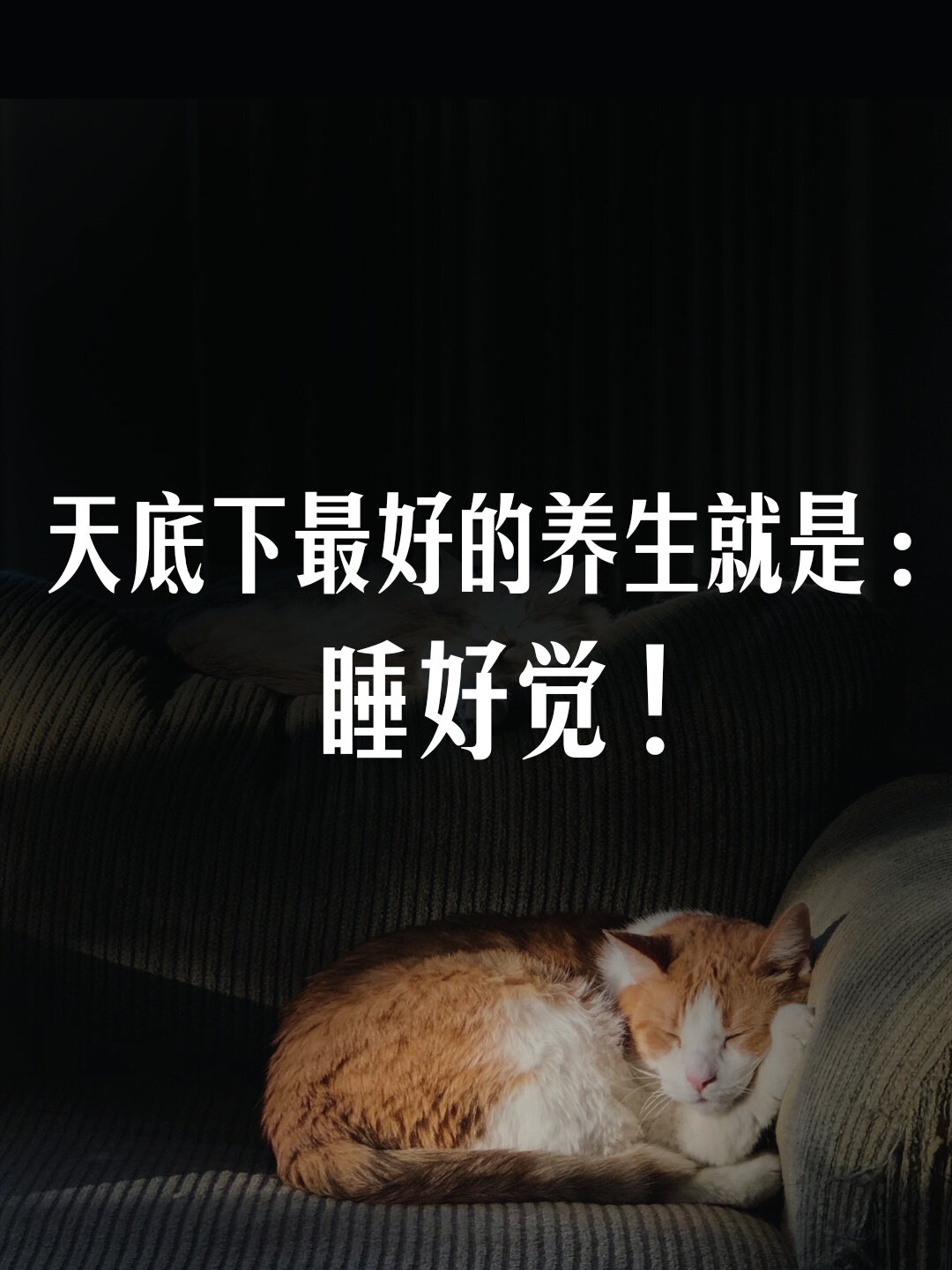 包含吃好睡好不打游戏都做到了吗？杨瀚森：游戏还是打了两把的词条